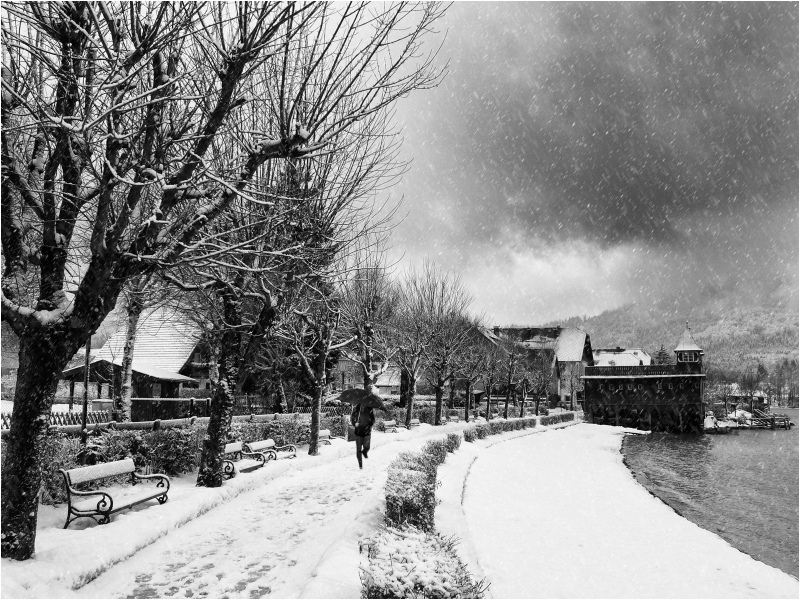 Winter Walk.jpg